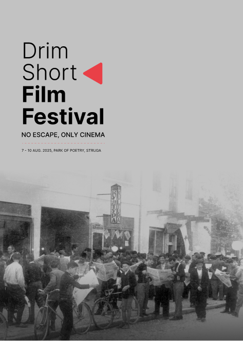 DSFF 2025 Festival Poster